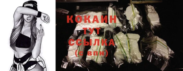 mix Богородицк