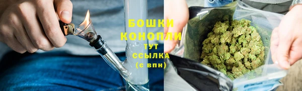 гидропоника Богородск