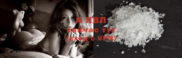 тгк Богданович