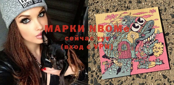 mix Богородицк