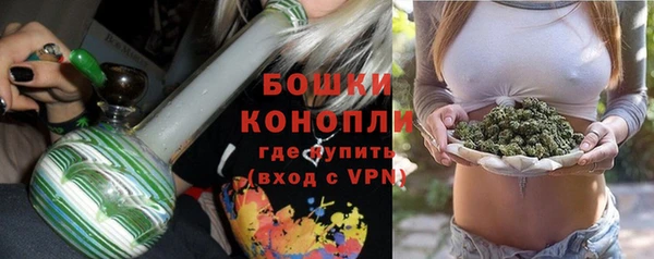 mix Богородицк