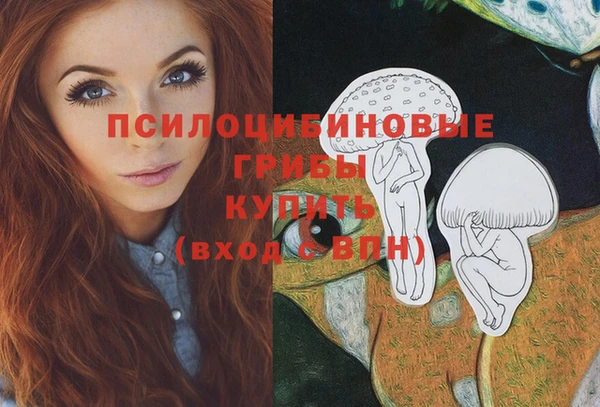 тгк Богданович
