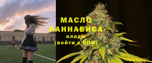 mix Богородицк