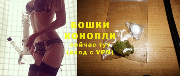 тгк Богданович