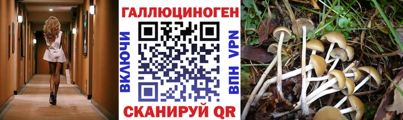Галлюциногенные грибы прущие грибы  OMG tor  Конаково 